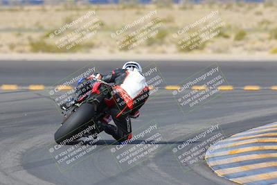 media/Mar-12-2023-SoCal Trackdays (Sun) [[d4c8249724]]/Turn 11 Backside (10am)/